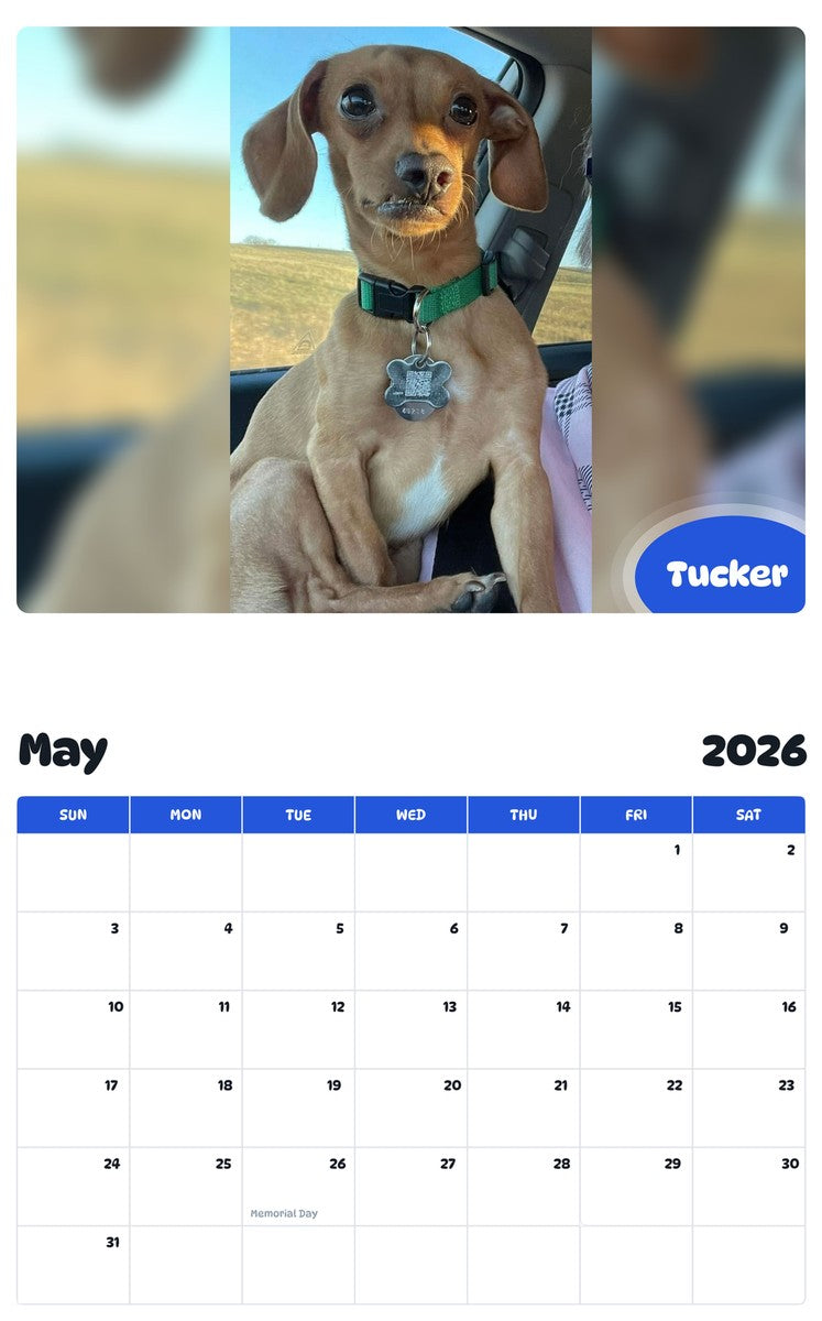 2026 - 2027 Tucker - Pawidols Pet Calendar