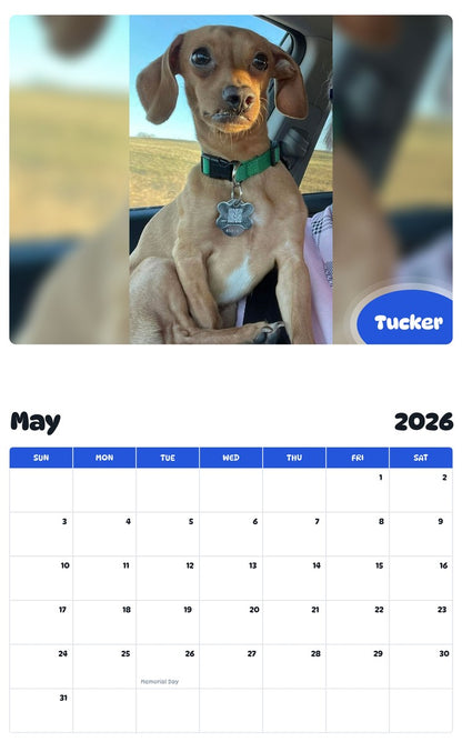 2026 - 2027 Tucker - Pawidols Pet Calendar