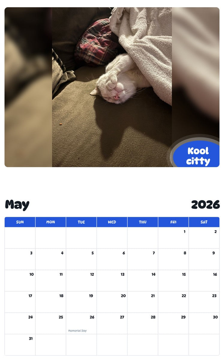 2026 - 2027 Kool citty - Pawidols Pet Calendar