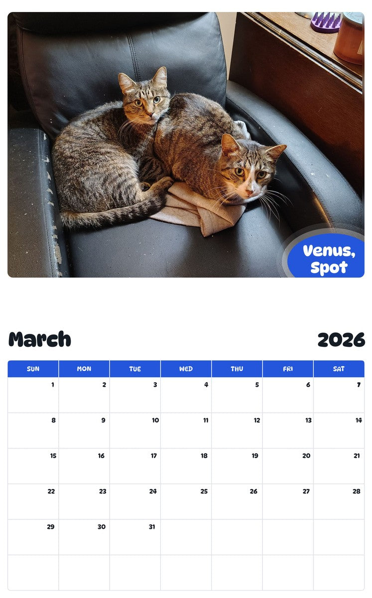 November 2025 - October 2026 Venus, Spot - Pawidols Pet Calendar