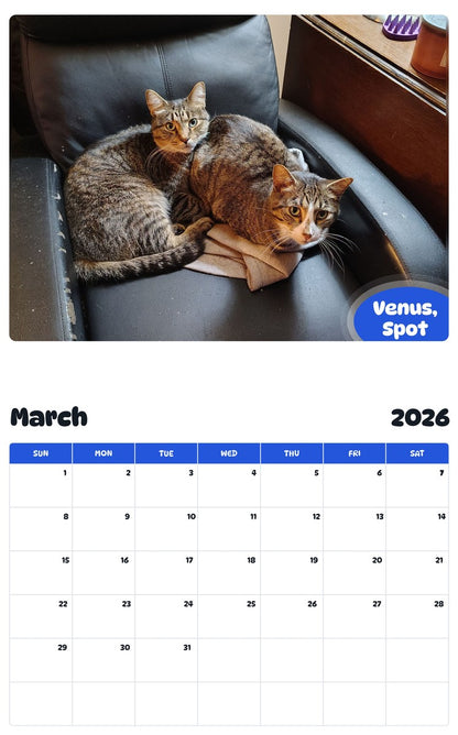 November 2025 - October 2026 Venus, Spot - Pawidols Pet Calendar