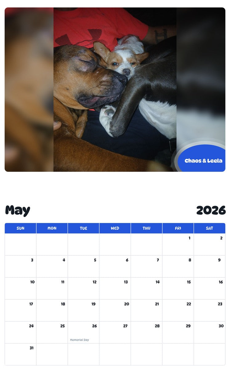 2026 - 2027 Chaos & Leela - Pawidols Pet Calendar
