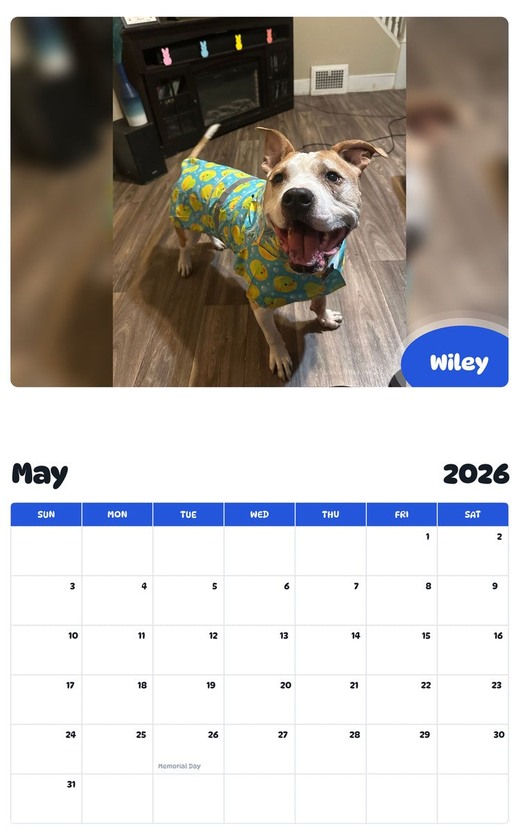 2026 - 2027 Wiley - Pawidols Pet Calendar