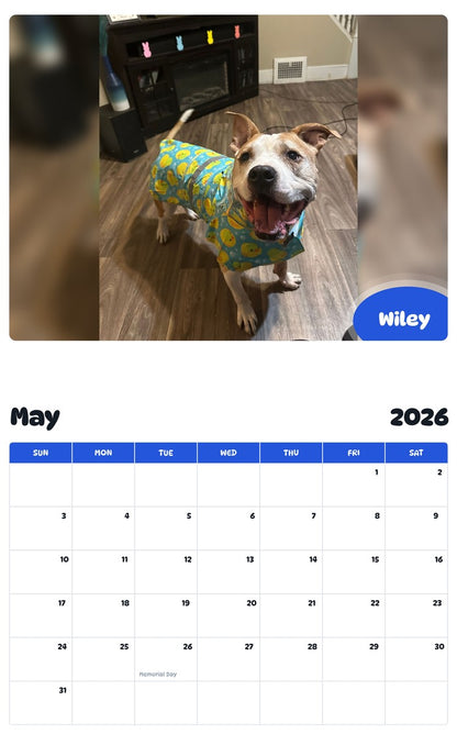 2026 - 2027 Wiley - Pawidols Pet Calendar