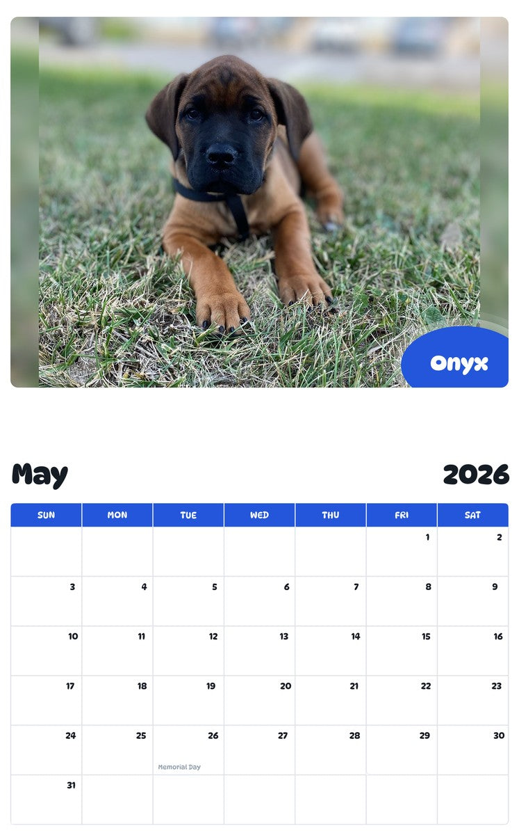 2026 - 2027 Onyx - Pawidols Pet Calendar
