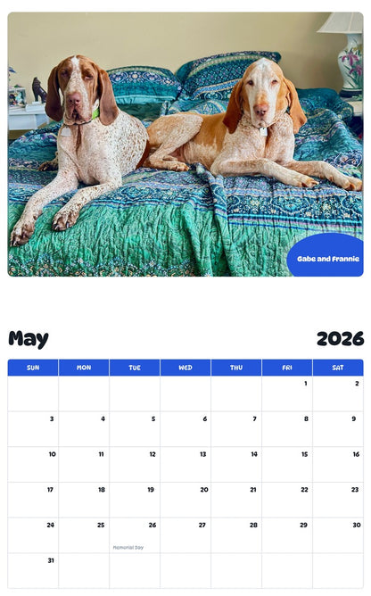 2026 - 2027 Gabe and Frannie - Pawidols Pet Calendar