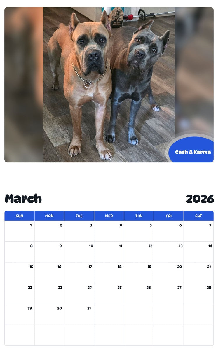 November 2025 - October 2026 Cash & Karma - Pawidols Pet Calendar