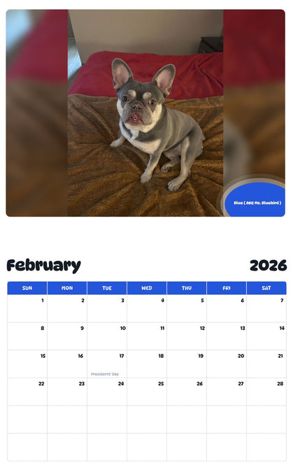 October 2025 - September 2026 Blue ( AKC Ms. Bluebird ) - Pawidols Pet Calendar