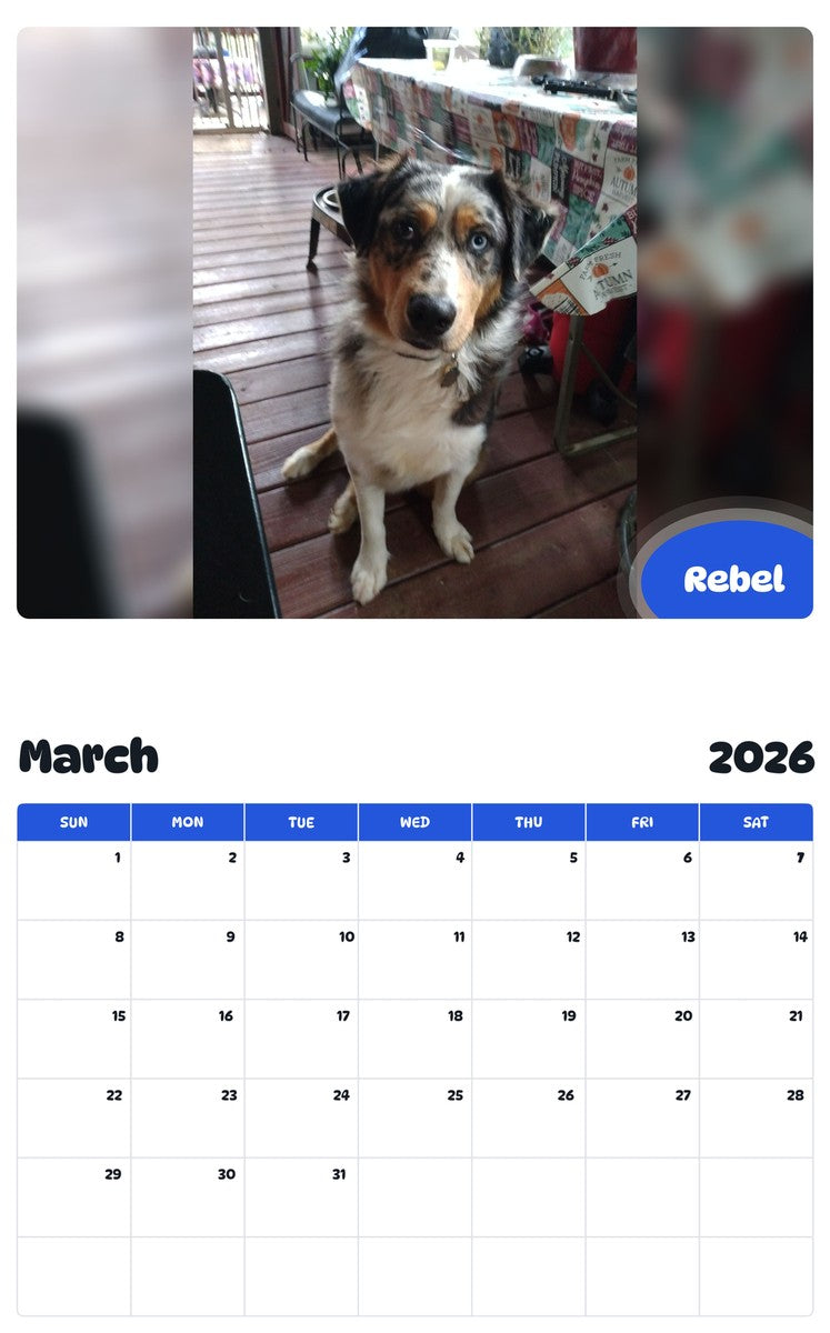 November 2025 - October 2026 Rebel - Pawidols Pet Calendar