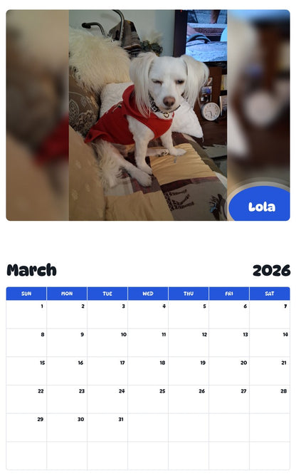 November 2025 - October 2026 Lola - Pawidols Pet Calendar