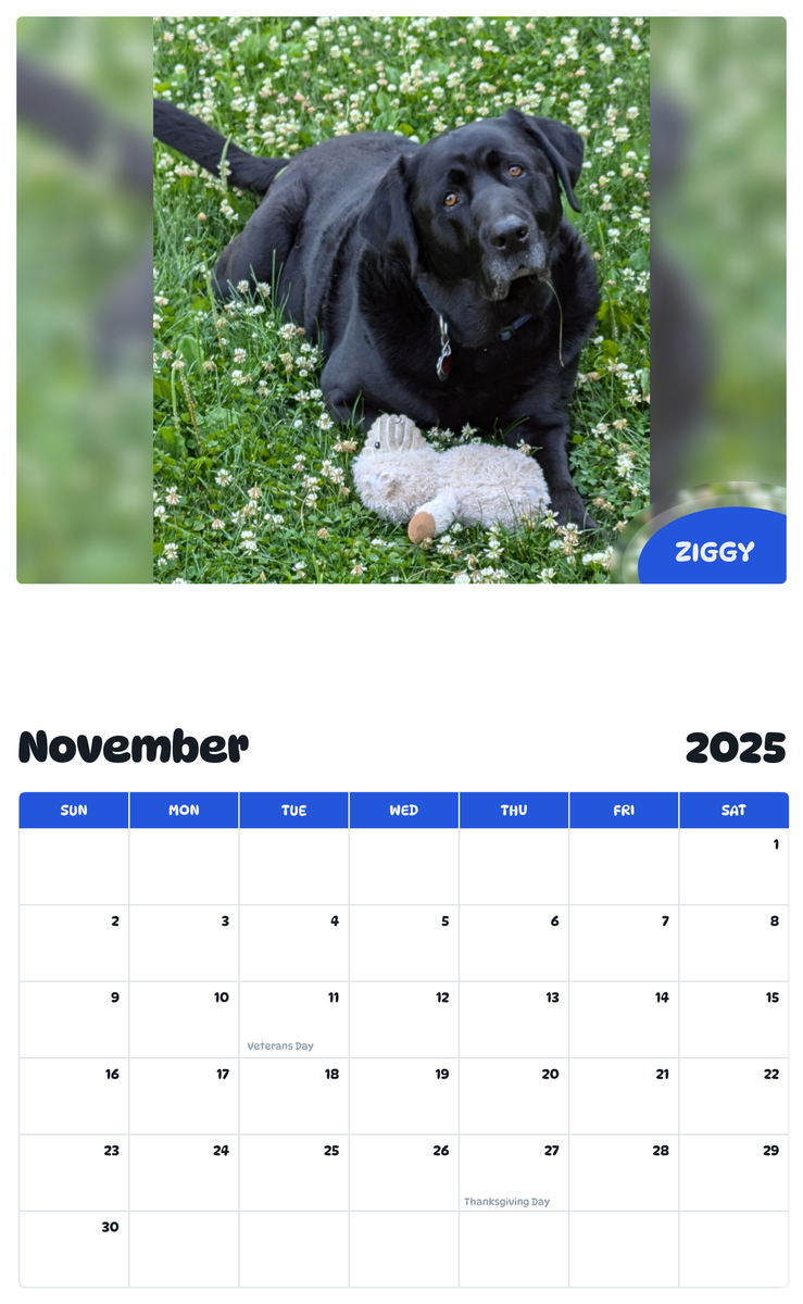July 2025 - June 2026 Ziggy - Pawidols Pet Calendar