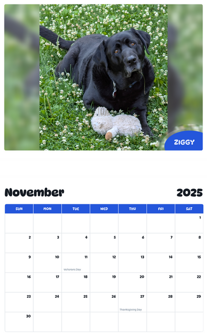 July 2025 - June 2026 Ziggy - Pawidols Pet Calendar