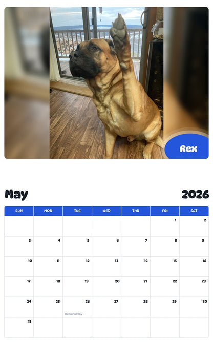 2026 - 2027 Rex - Pawidols Pet Calendar