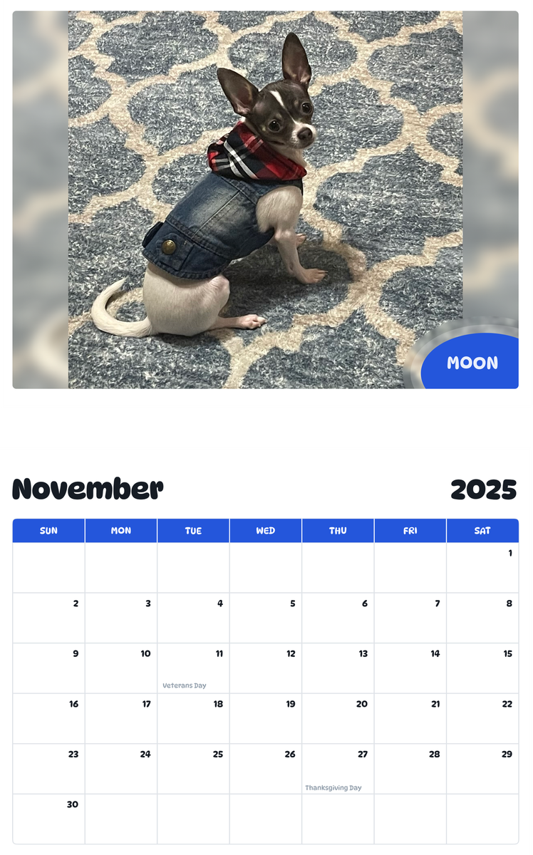 July 2025 - June 2026 Moon - Pawidols Pet Calendar