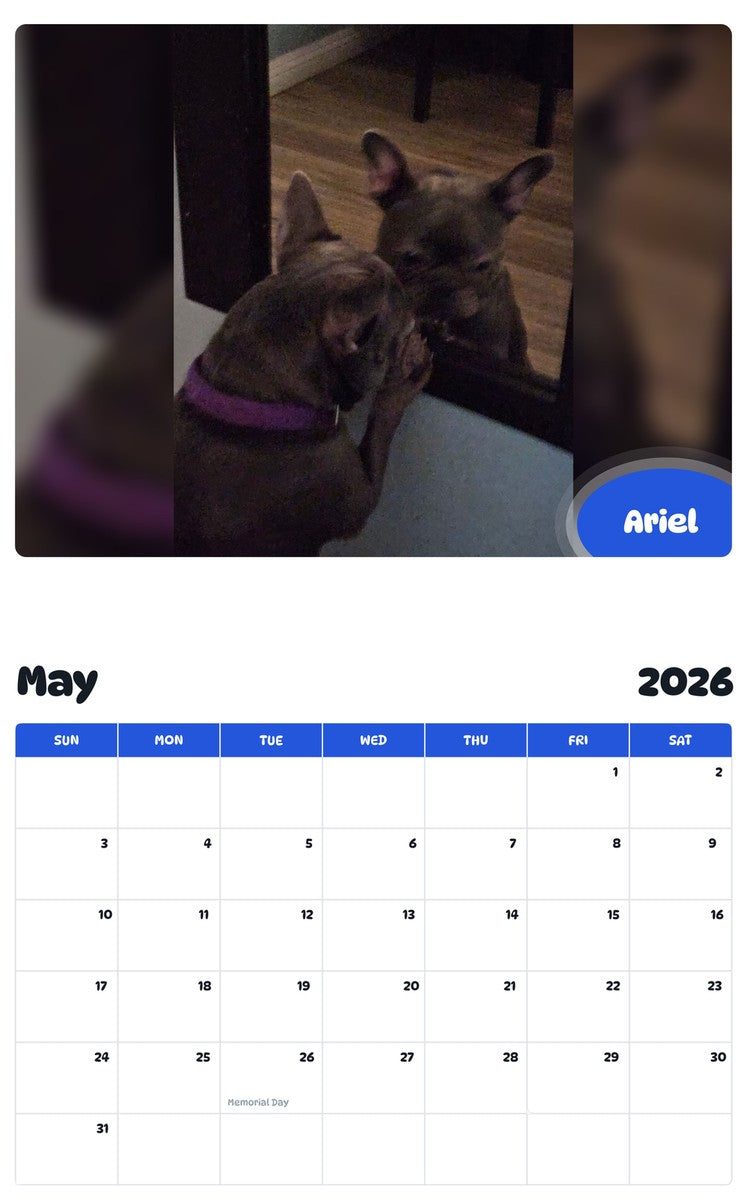 2026 - 2027 Ariel - Pawidols Pet Calendar