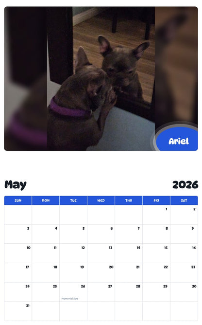 2026 - 2027 Ariel - Pawidols Pet Calendar