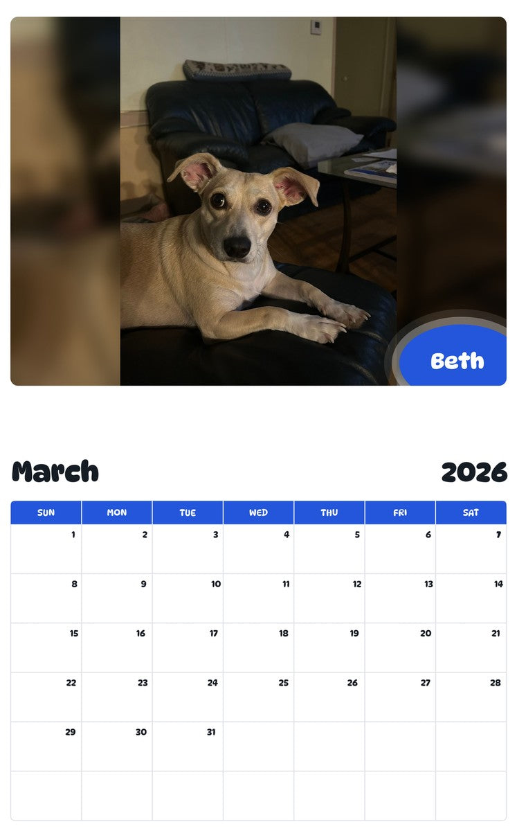 November 2025 - October 2026 Beth - Pawidols Pet Calendar