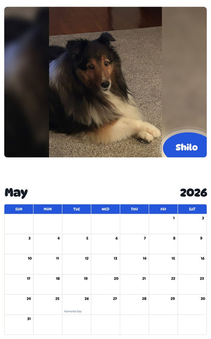 2026 - 2027 Shilo - Pawidols Pet Calendar