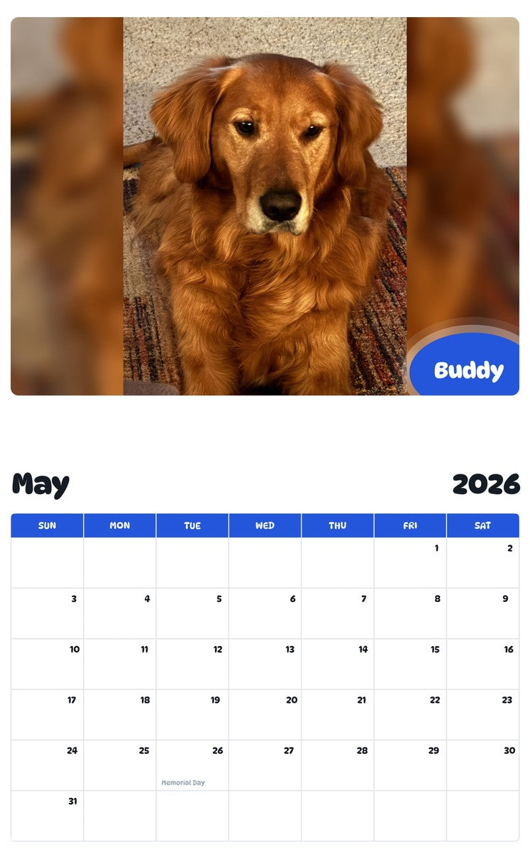 2026 - 2027 Buddy - Pawidols Pet Calendar