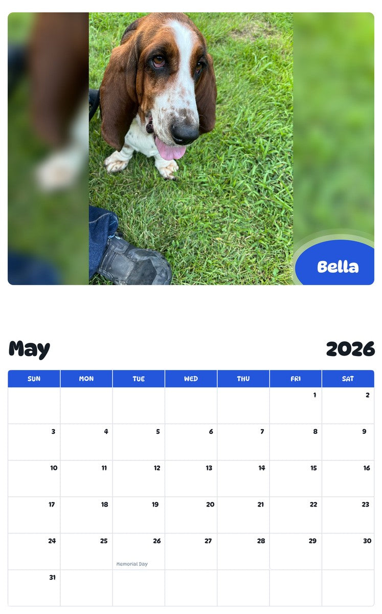 2026 - 2027 Bella - Pawidols Pet Calendar