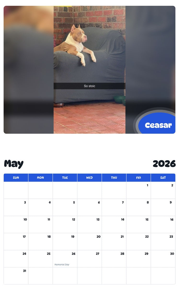 2026 - 2027 Ceasar - Pawidols Pet Calendar