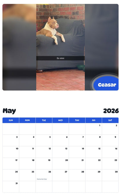 2026 - 2027 Ceasar - Pawidols Pet Calendar