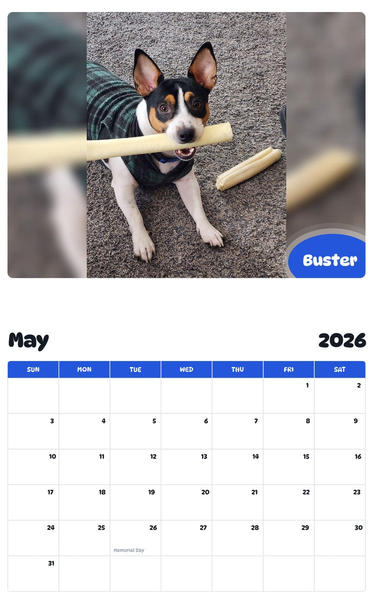 2026 - 2027 Buster - Pawidols Pet Calendar