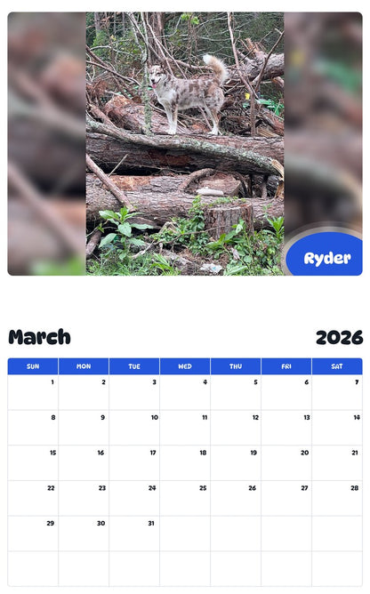 November 2025 - October 2026 Ryder - Pawidols Pet Calendar