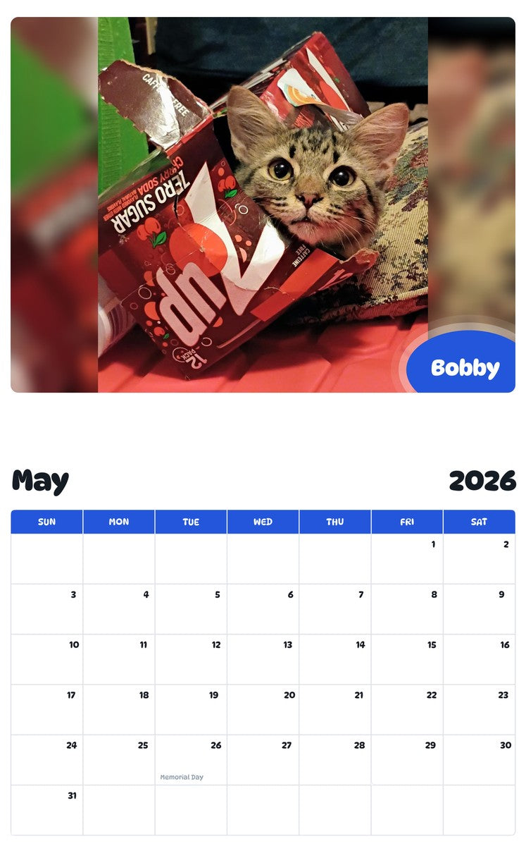 2026 - 2027 Bobby - Pawidols Pet Calendar