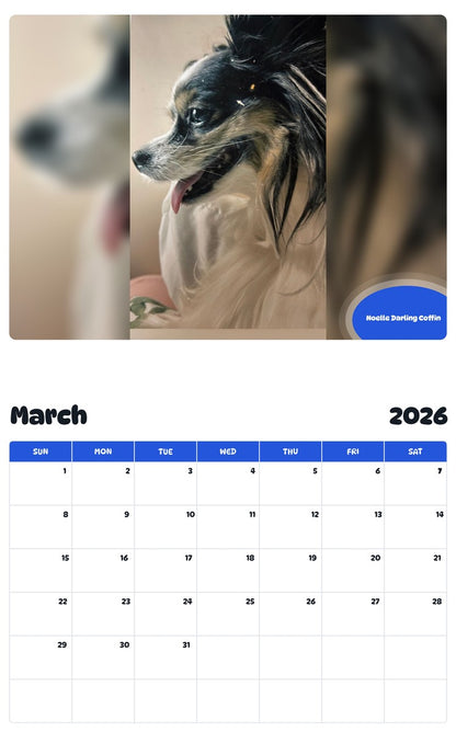 November 2025 - October 2026 Noelle Darling Coffin - Pawidols Pet Calendar
