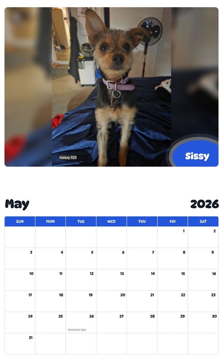 2026 - 2027 Sissy - Pawidols Pet Calendar
