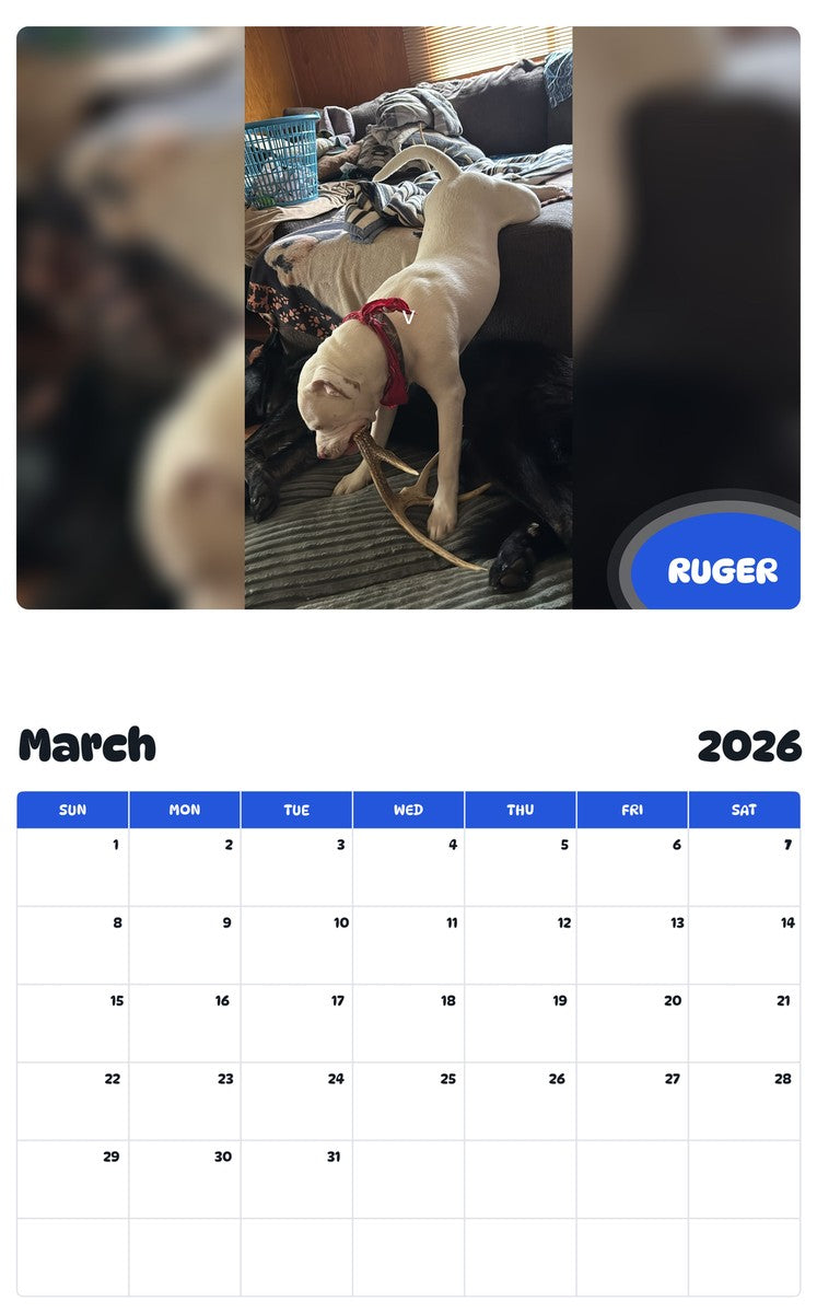 November 2025 - October 2026 RUGER - Pawidols Pet Calendar