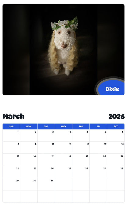 November 2025 - October 2026 Dixie - Pawidols Pet Calendar