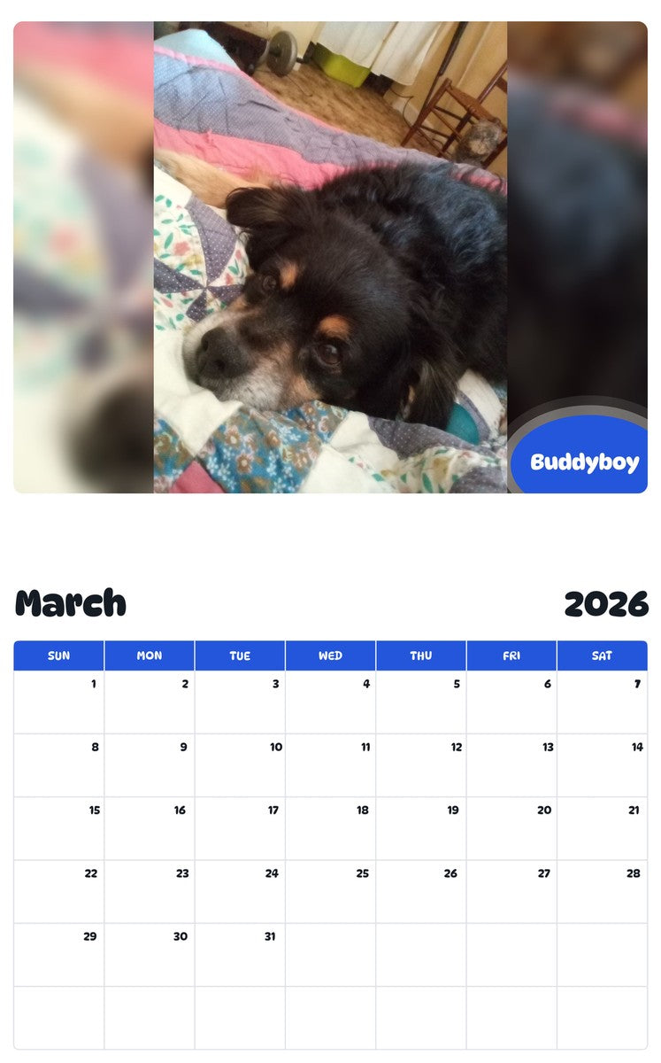 November 2025 - October 2026 Buddyboy - Pawidols Pet Calendar