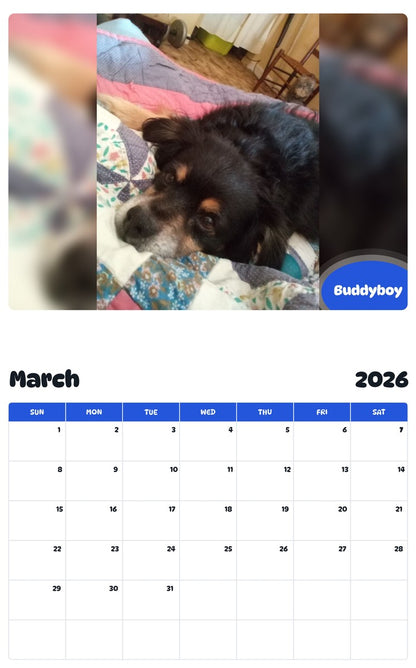 November 2025 - October 2026 Buddyboy - Pawidols Pet Calendar