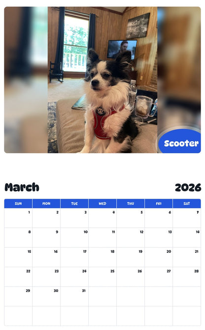 November 2025 - October 2026 Scooter - Pawidols Pet Calendar