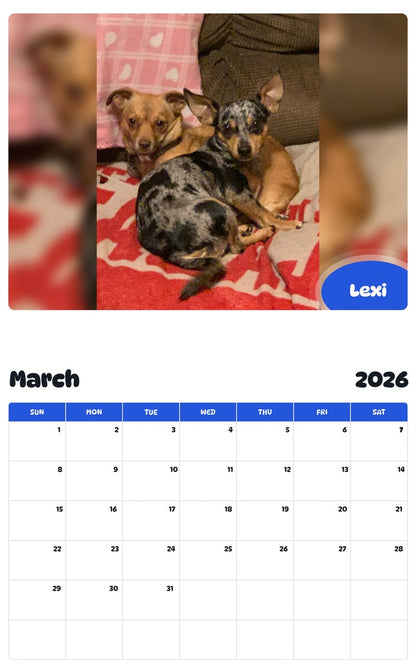 November 2025 - October 2026 Lexi - Pawidols Pet Calendar