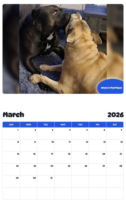 November 2025 - October 2026 Onyx & Mystique - Pawidols Pet Calendar