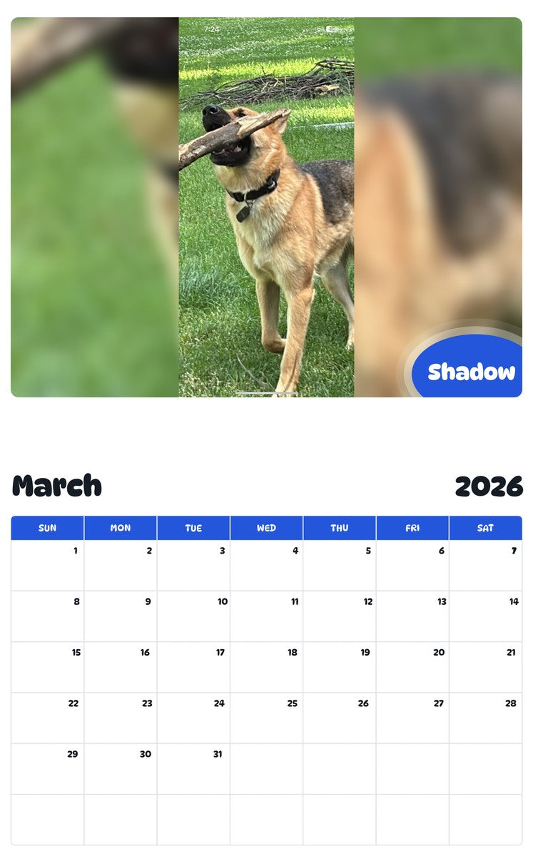 November 2025 - October 2026 Shadow - Pawidols Pet Calendar
