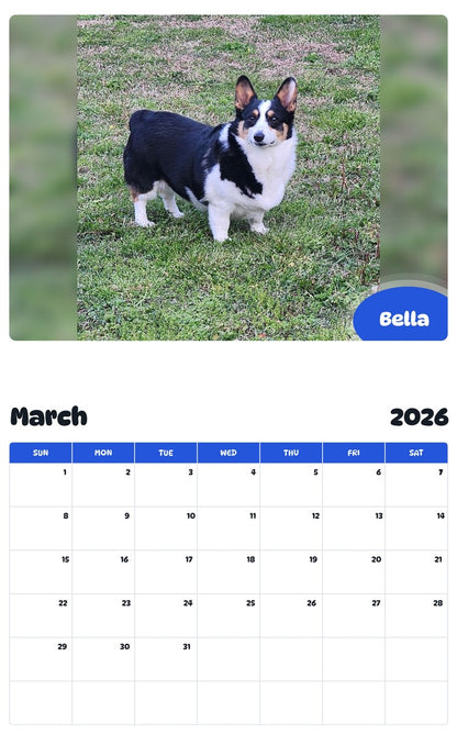 November 2025 - October 2026 Bella - Pawidols Pet Calendar