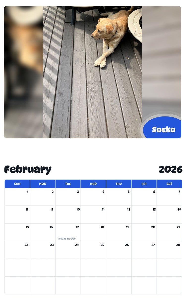 October 2025 - September 2026 Socko - Pawidols Pet Calendar