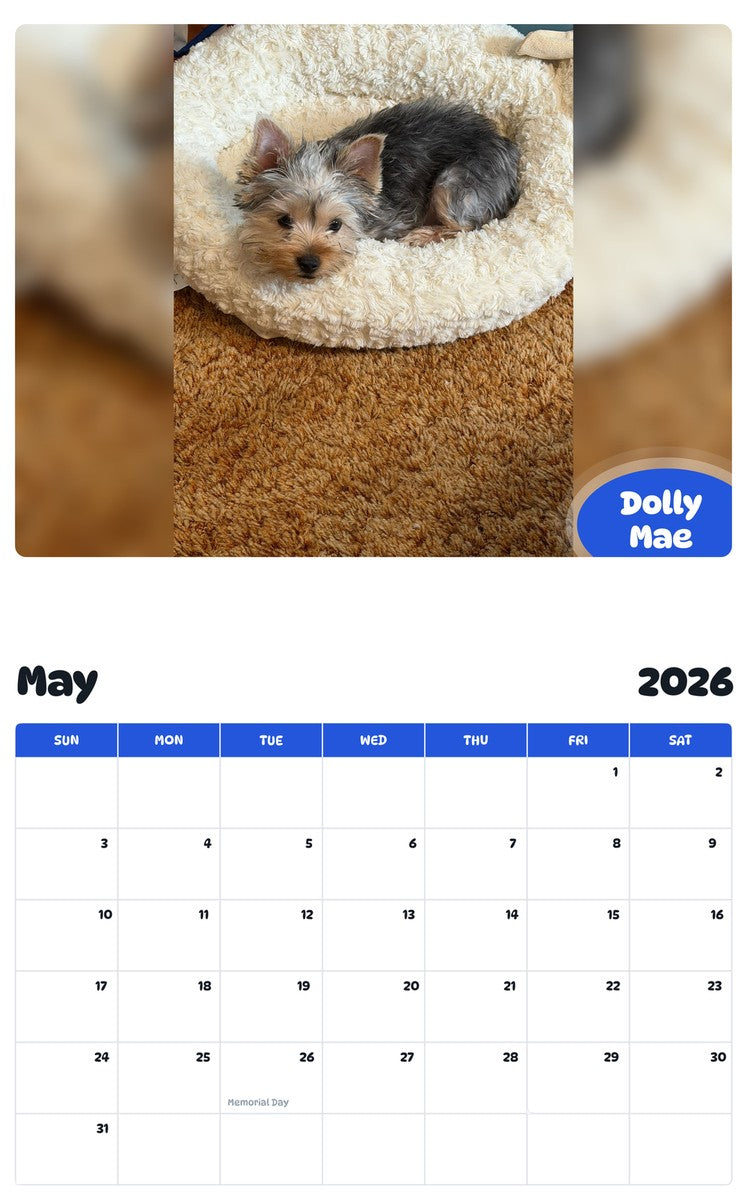 2026 - 2027 Dolly Mae - Pawidols Pet Calendar