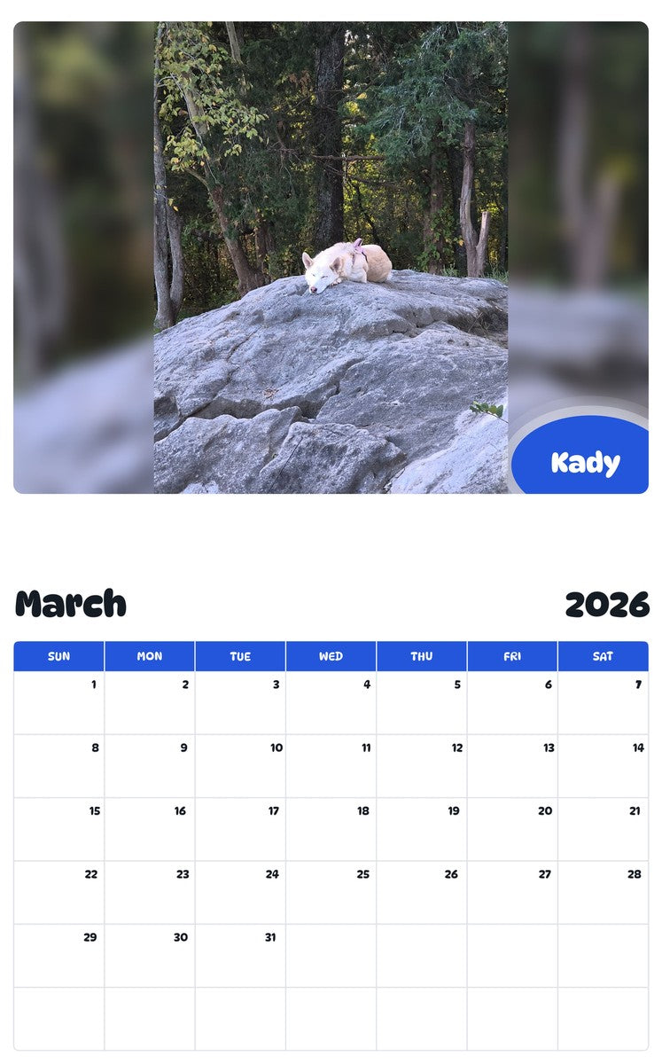 November 2025 - October 2026 Kady - Pawidols Pet Calendar