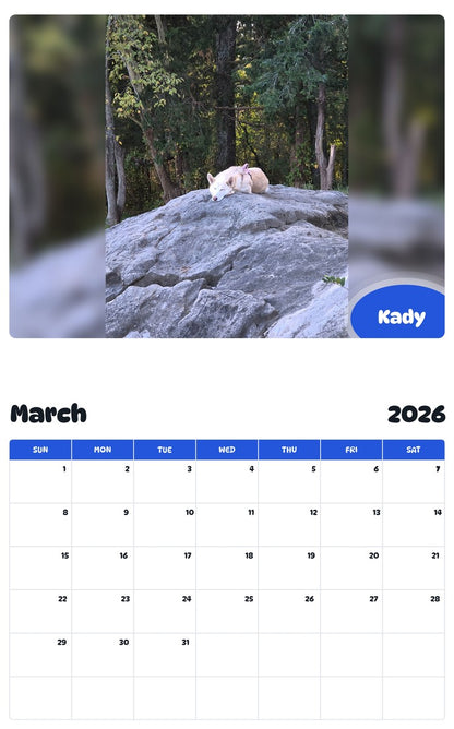 November 2025 - October 2026 Kady - Pawidols Pet Calendar