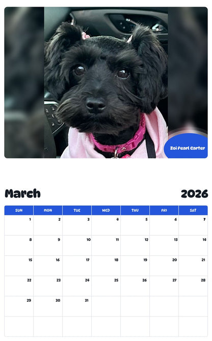 November 2025 - October 2026 Zoi Pearl Carter - Pawidols Pet Calendar