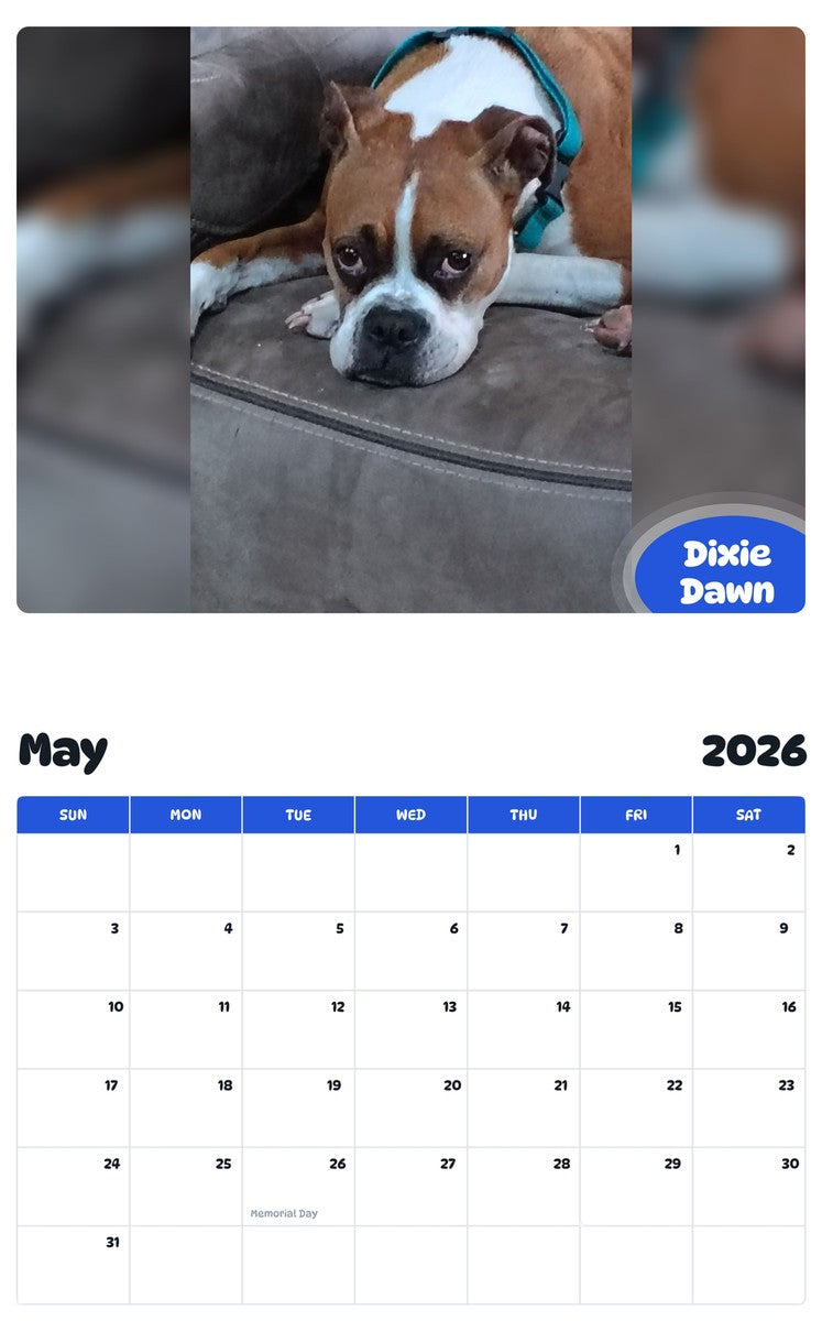 2026 - 2027 Dixie Dawn - Pawidols Pet Calendar