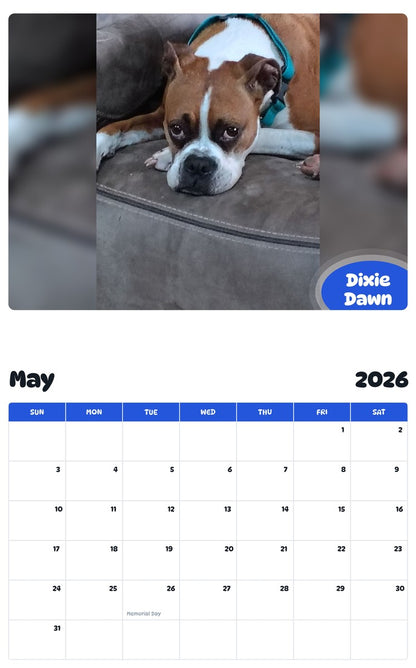 2026 - 2027 Dixie Dawn - Pawidols Pet Calendar