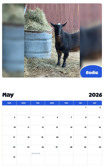 2026 - 2027 Bodie - Pawidols Pet Calendar