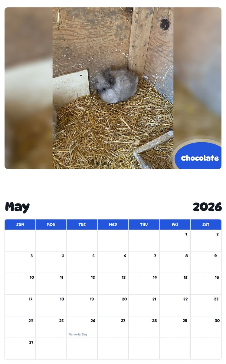 2026 - 2027 Chocolate - Pawidols Pet Calendar
