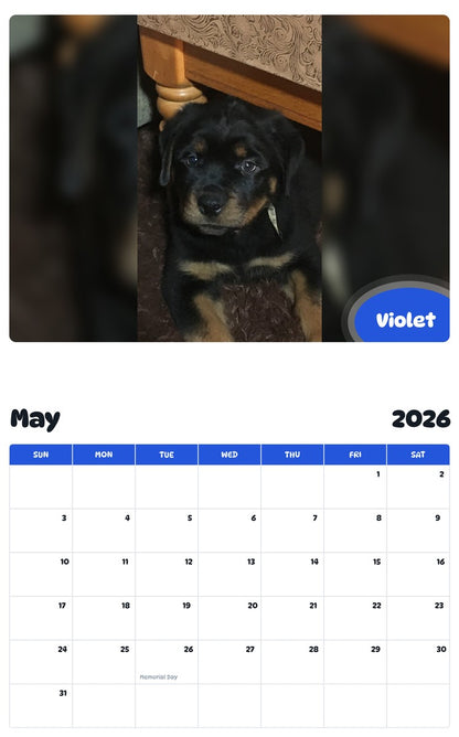 2026 - 2027 Violet - Pawidols Pet Calendar